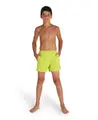 Arena Boys Beach Boxer Shorts Soft Green-Royal